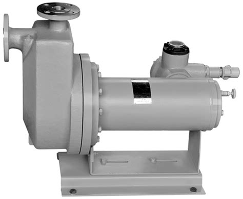 canned centrifugal pump|hayward tyler canned motor pumps.